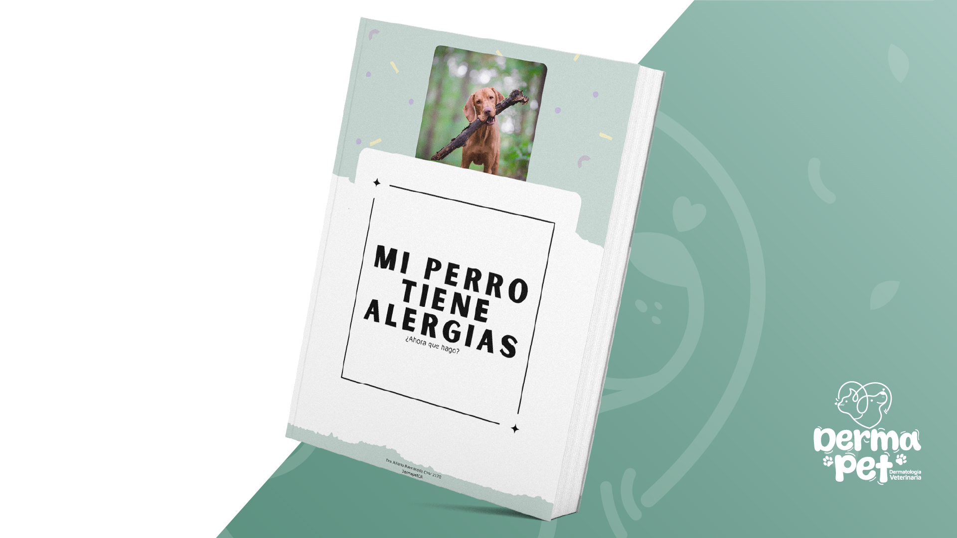 Guía esencial: “Mi mascota tiene alergias, ¿ahora qué?” + Apoquel 101Nuevo curso